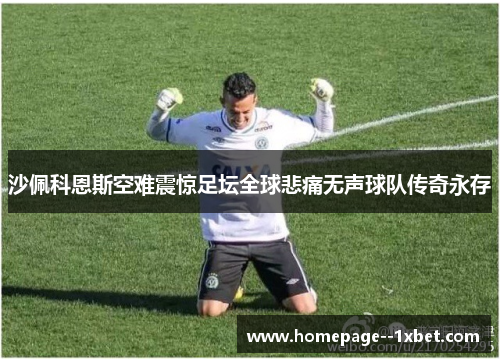 沙佩科恩斯空难震惊足坛全球悲痛无声球队传奇永存